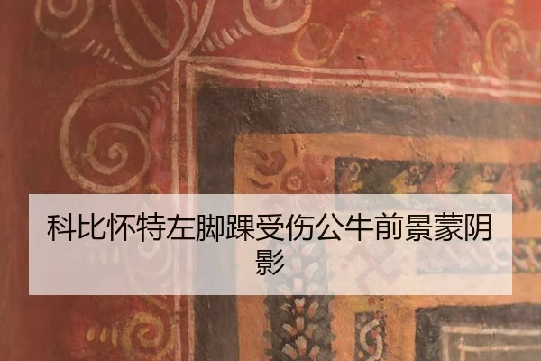 科比怀特左脚踝受伤公牛前景蒙阴影